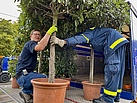 Mal schnell den Baum als Regenschirm nutzen ;-) (Bild: Ralf Meyer/THW Augsburg)