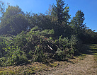 So kann es nach einem Unwetter aussehen. Da ist kein Durchkommen. (Bild: Daniel Spörel/THW Augsburg)