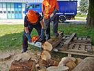 Fachausbildung Motorsägenführer (Bild: Jannik Vogt/THW Augsburg)